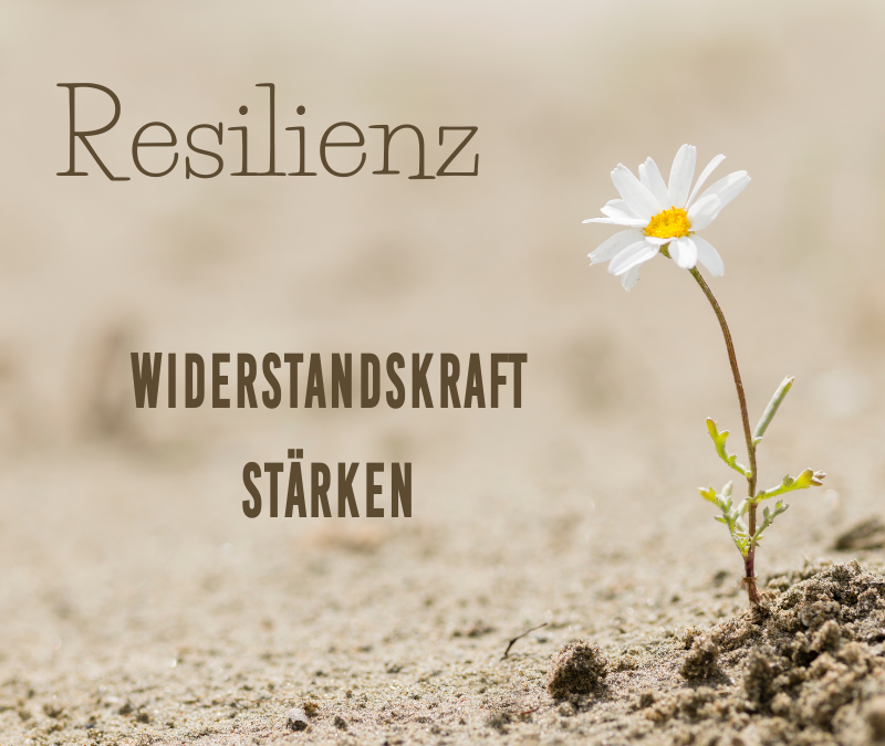 Resilienz